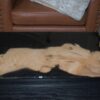 Black and Olive Wood Serving Tray 1 - Image 2